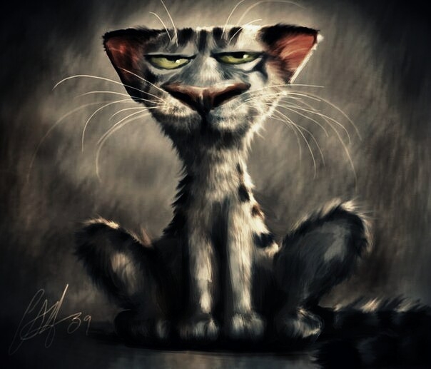 cat