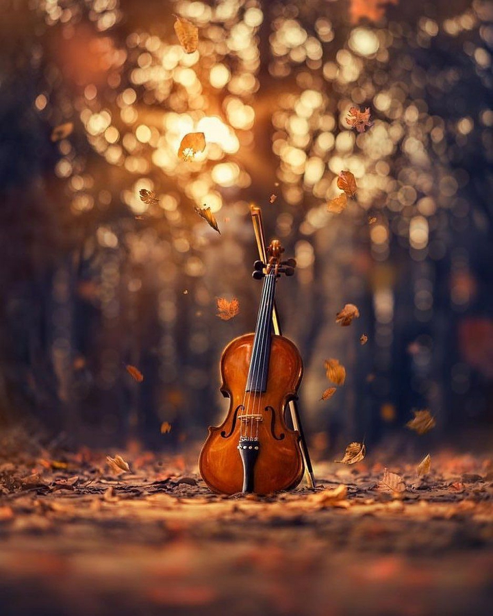 Autumn Melody