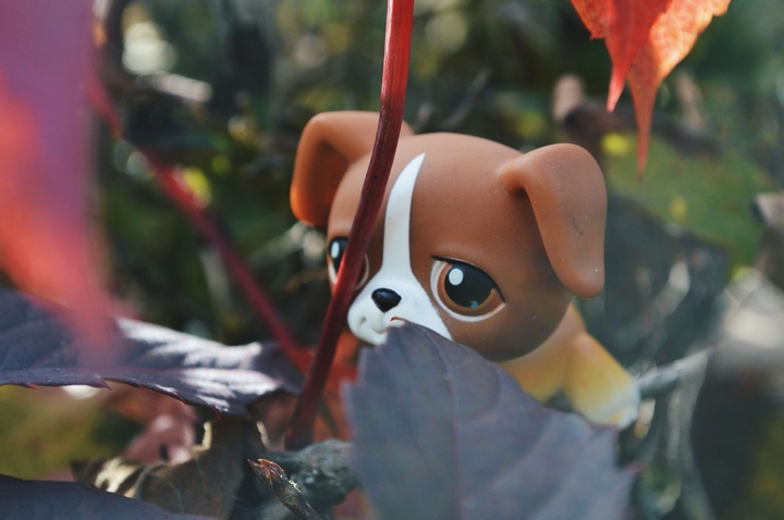 Littlest Pet Shop Autumn Nature