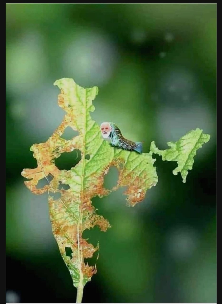 wowwww.....