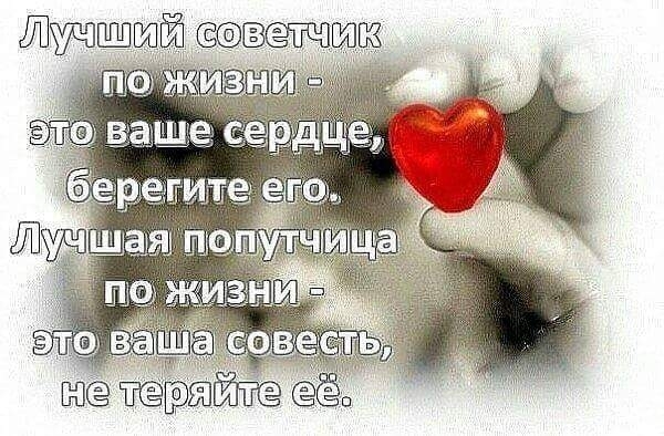 жизнь