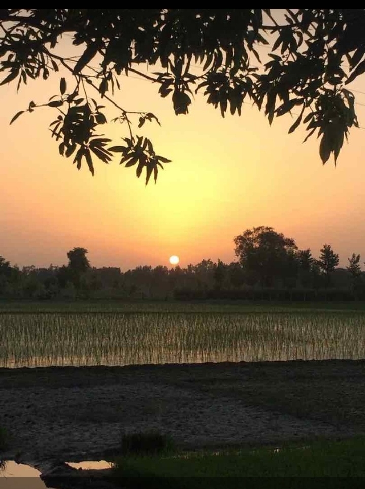 India's Natural Beauty