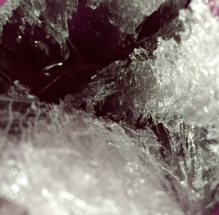 frozen