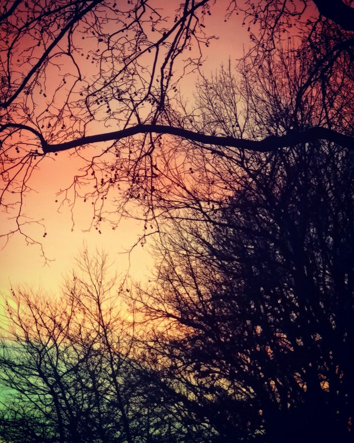 sky