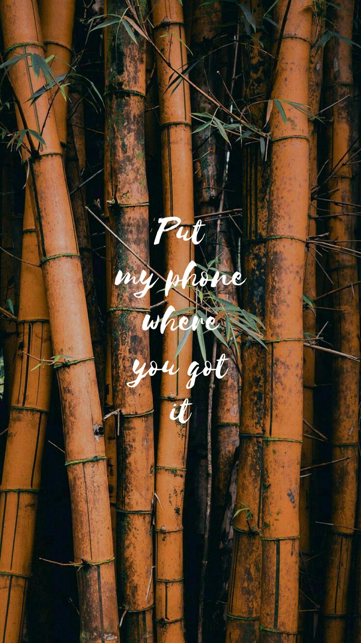 Quotes