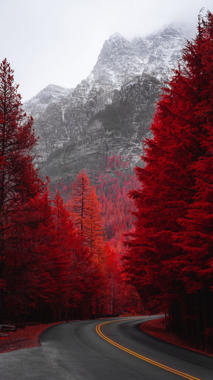 осень