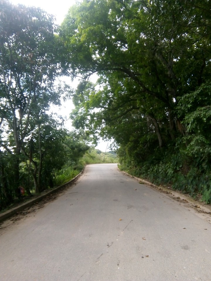 la vida es un camino donde se gana y se pierde