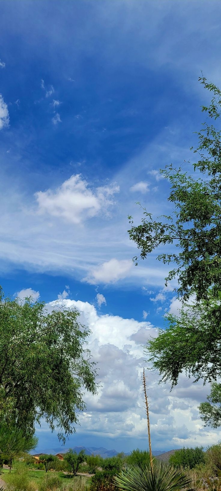 Autumn sky