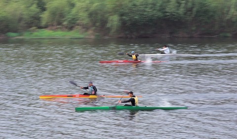 Sport