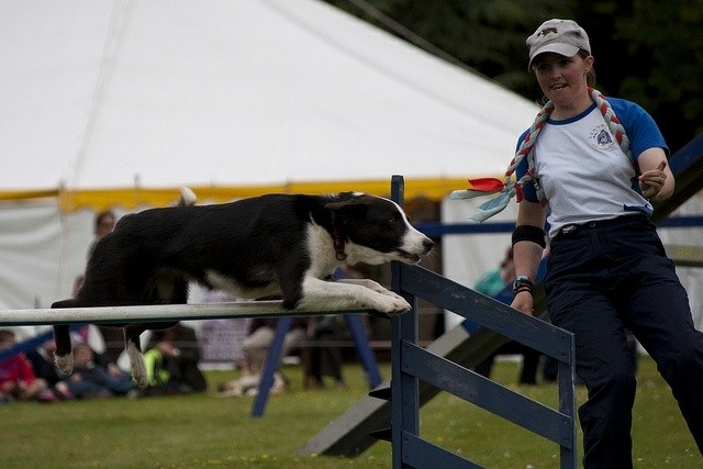 The Border Collie Because There Is No Better Dog