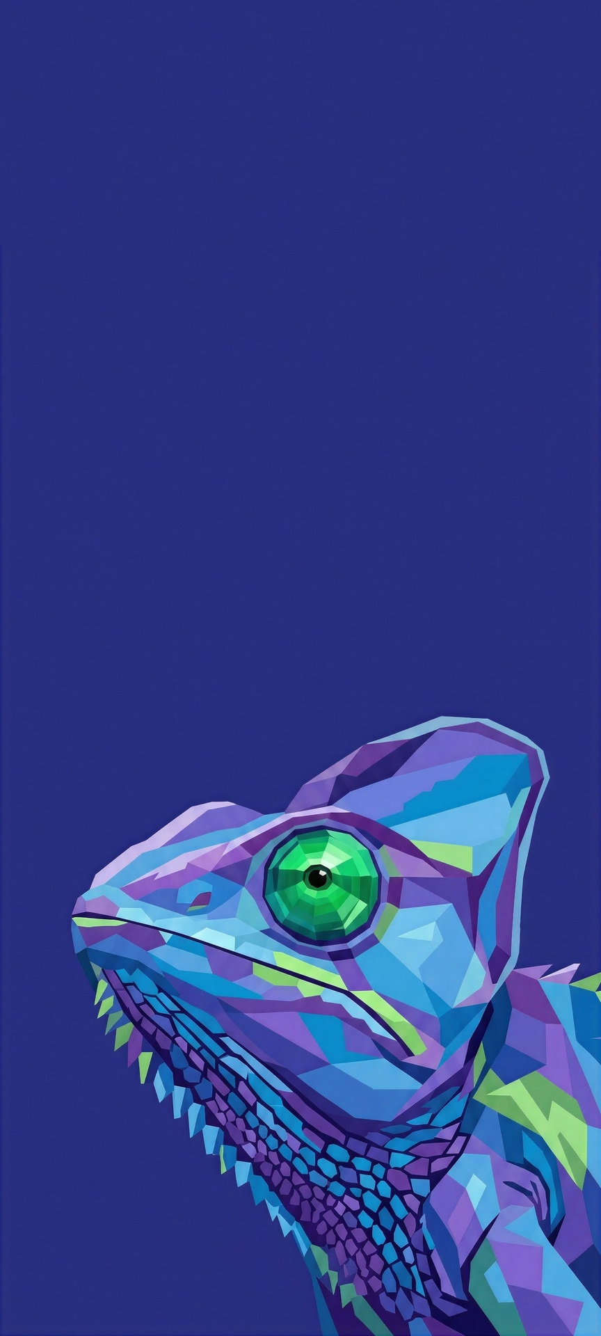 sfondi lizard, Chameleons