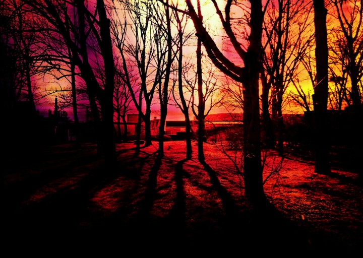 Red Sunset
