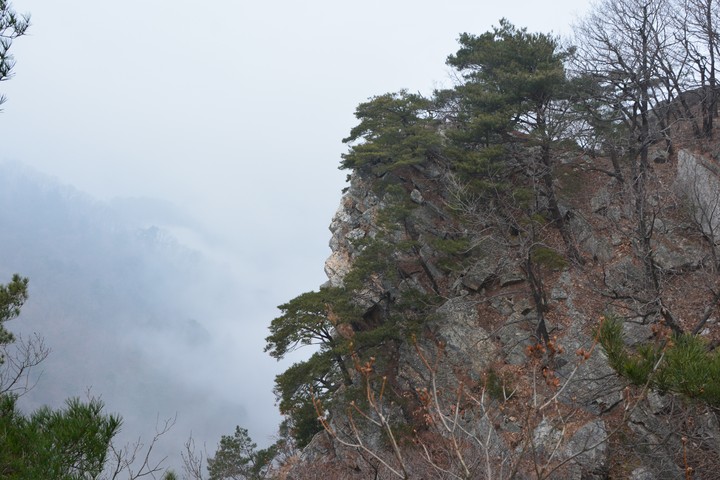 풍경이미지
