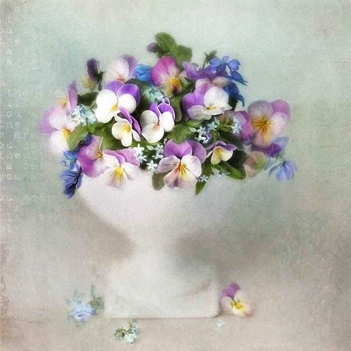 Bouquet of violets