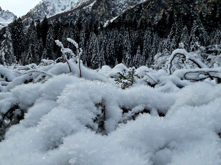 Cold paradise