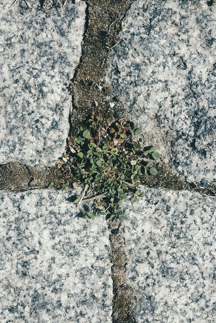 miniature