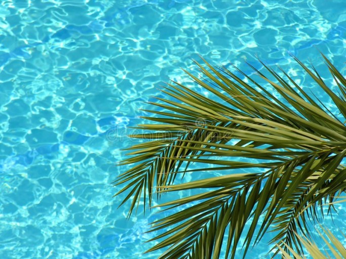 cool ocean