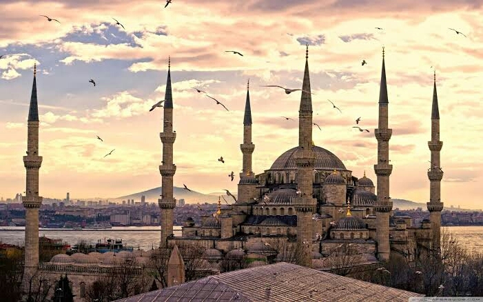 الله