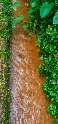 Waterflow