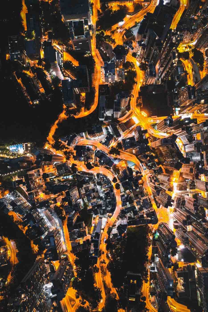 urban jungle