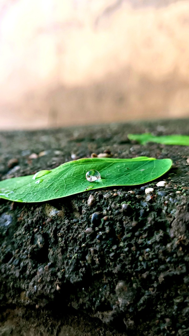 WATER DROP