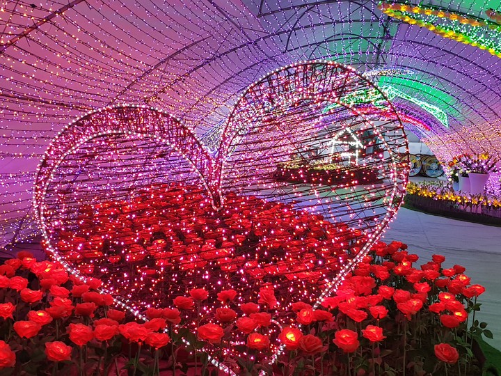 사랑