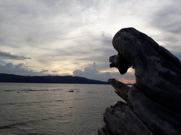 Shit on Radhanagar beach