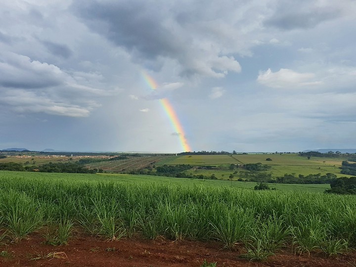 Rainbow