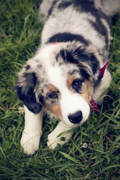 cute
