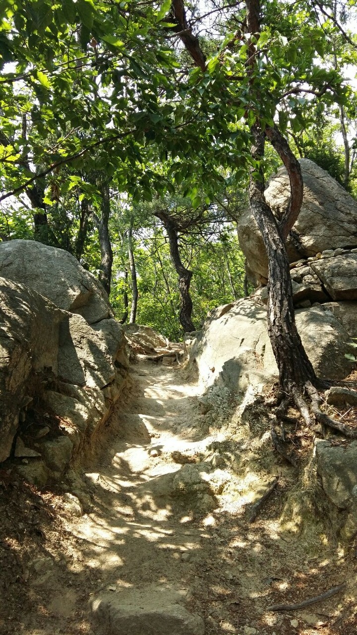 산길