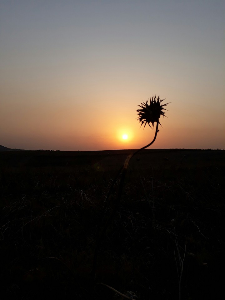 lonely sunset