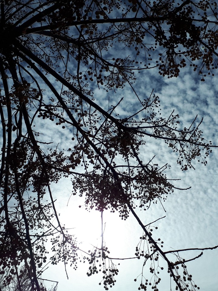 sky