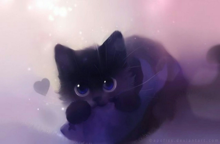 Cute kitty