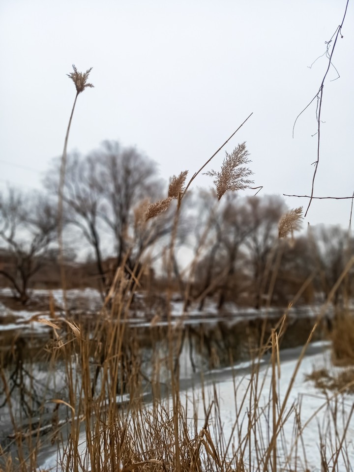 nature