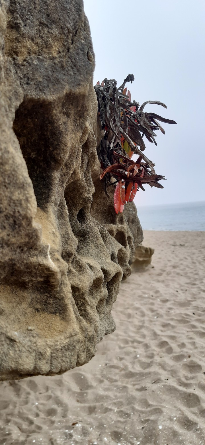 Rocks