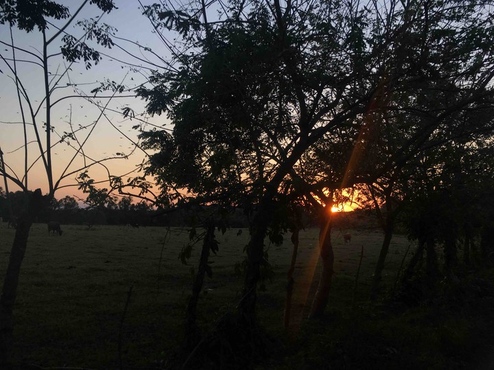 Tarde en Veracruz