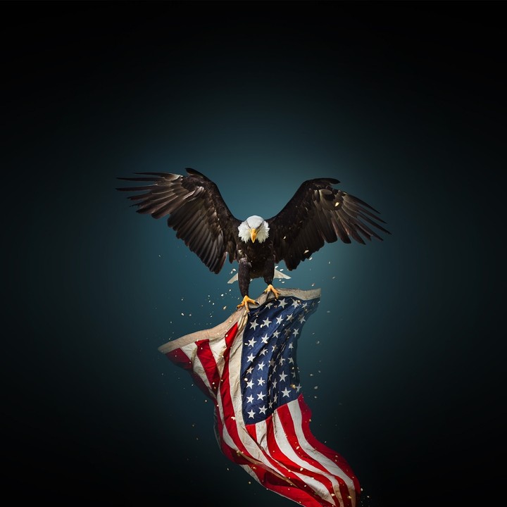 eagle