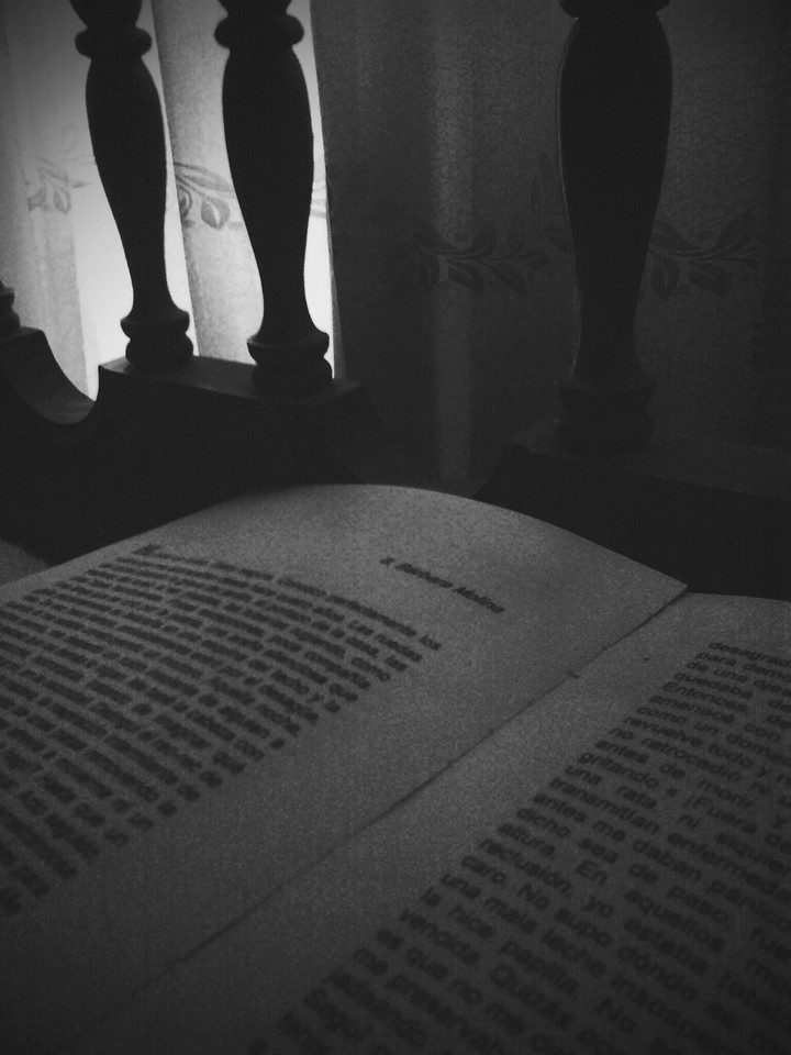 lectura