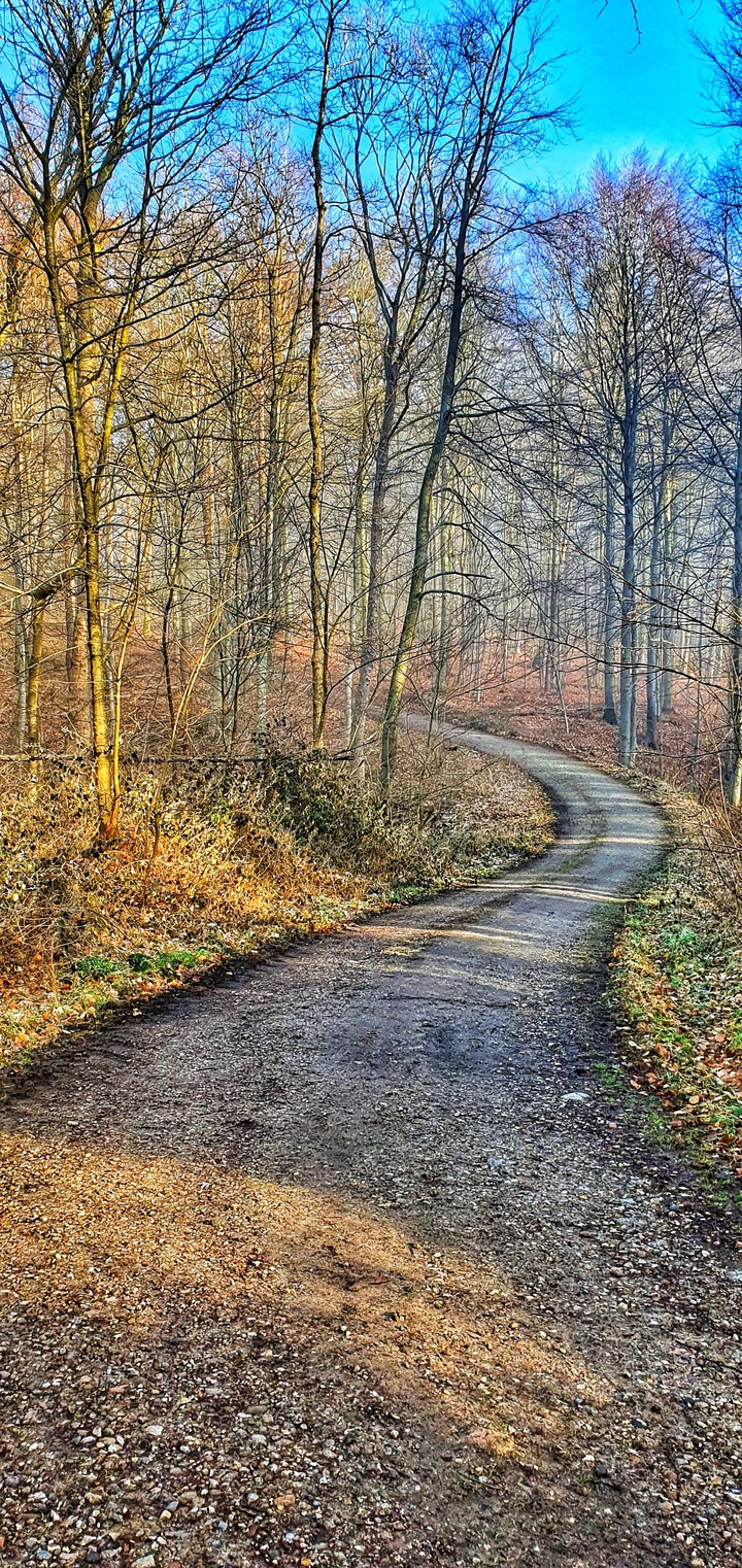 Ein Weg ist nicht immer gerade