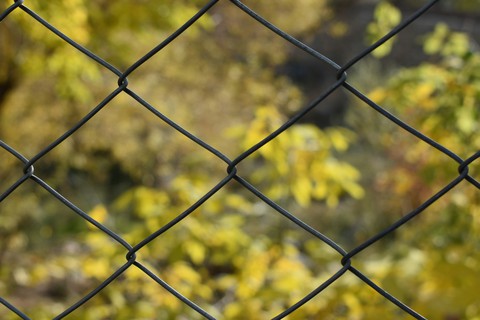 Fence