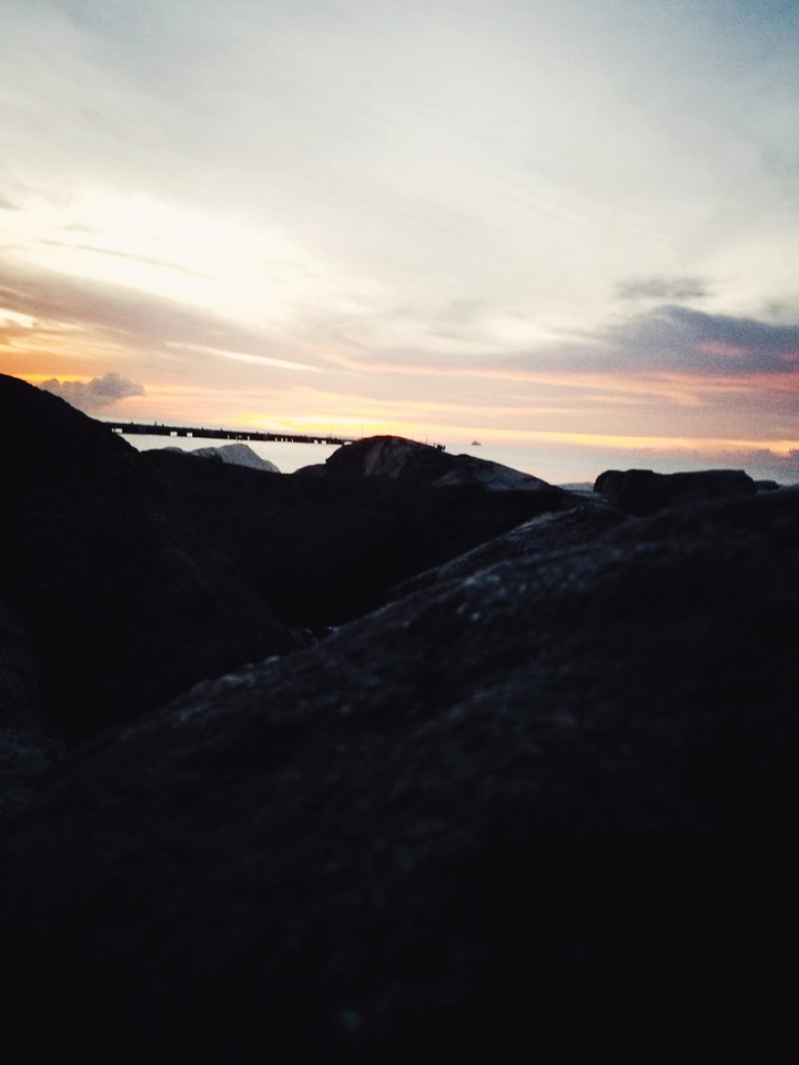 life on the rocks