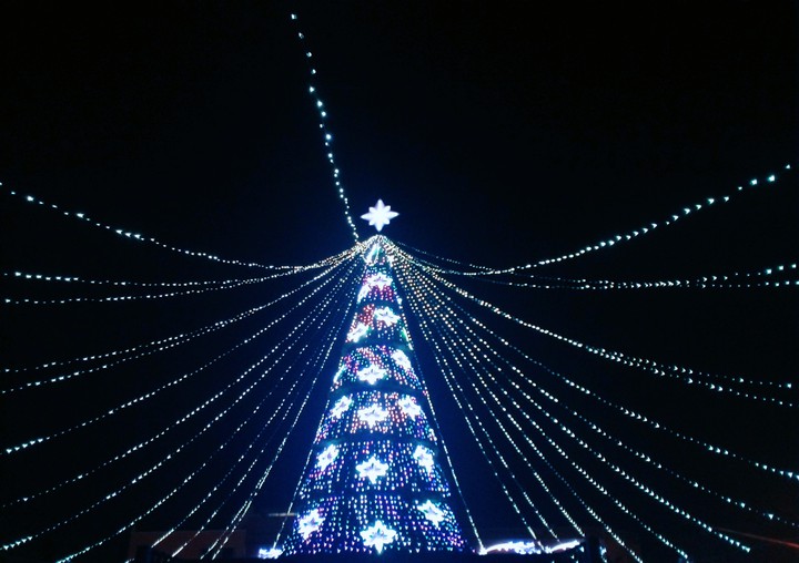 #Tree #Navidad #December #Luces #Lights #Amor #Love