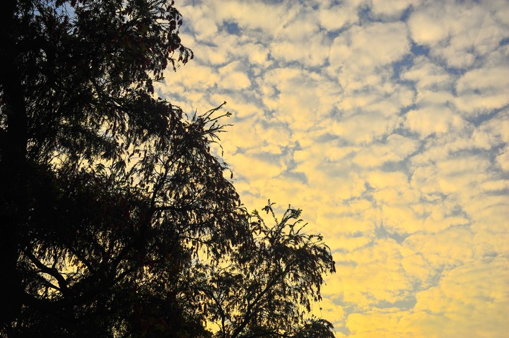 Twilight sky..