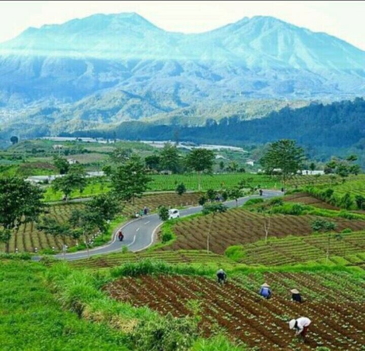 batu