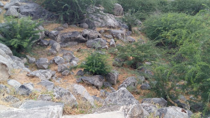 rock