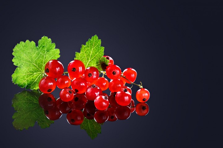 Redcurrant