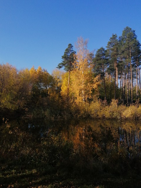 Осень.