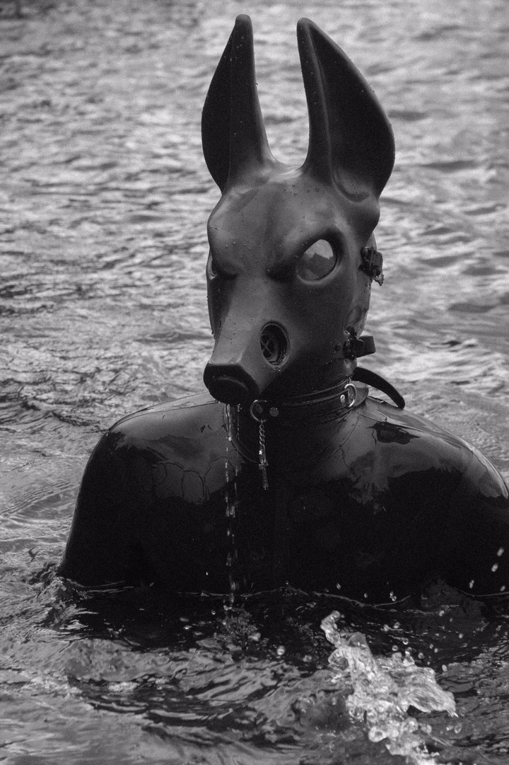 Rubber Jackal