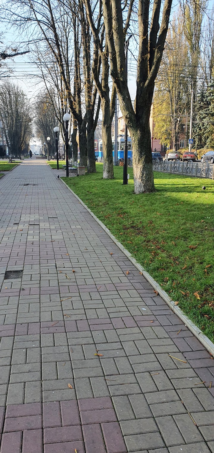 любимый город