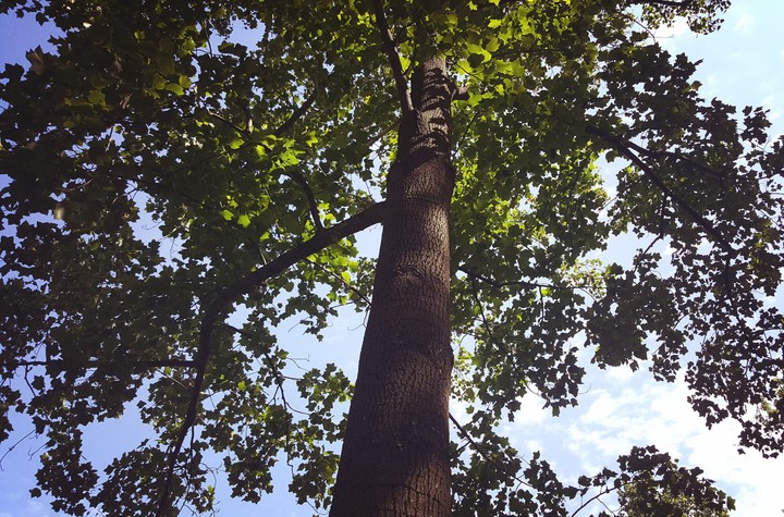 Reaching the Sky